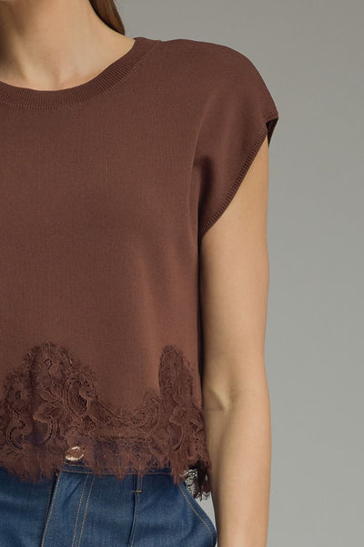 Brown Lace Basic Top